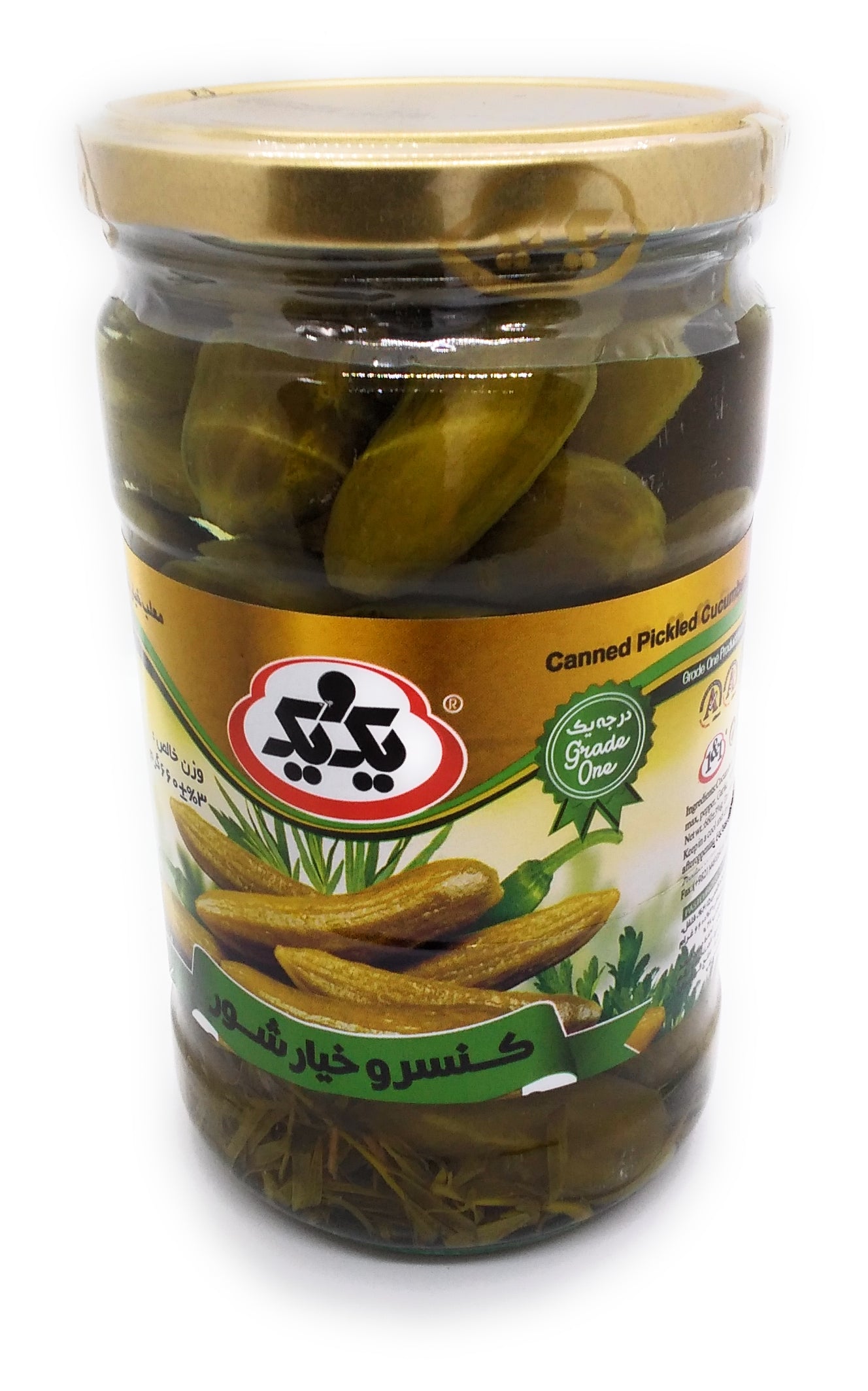 One Canned Cucumber Pickled