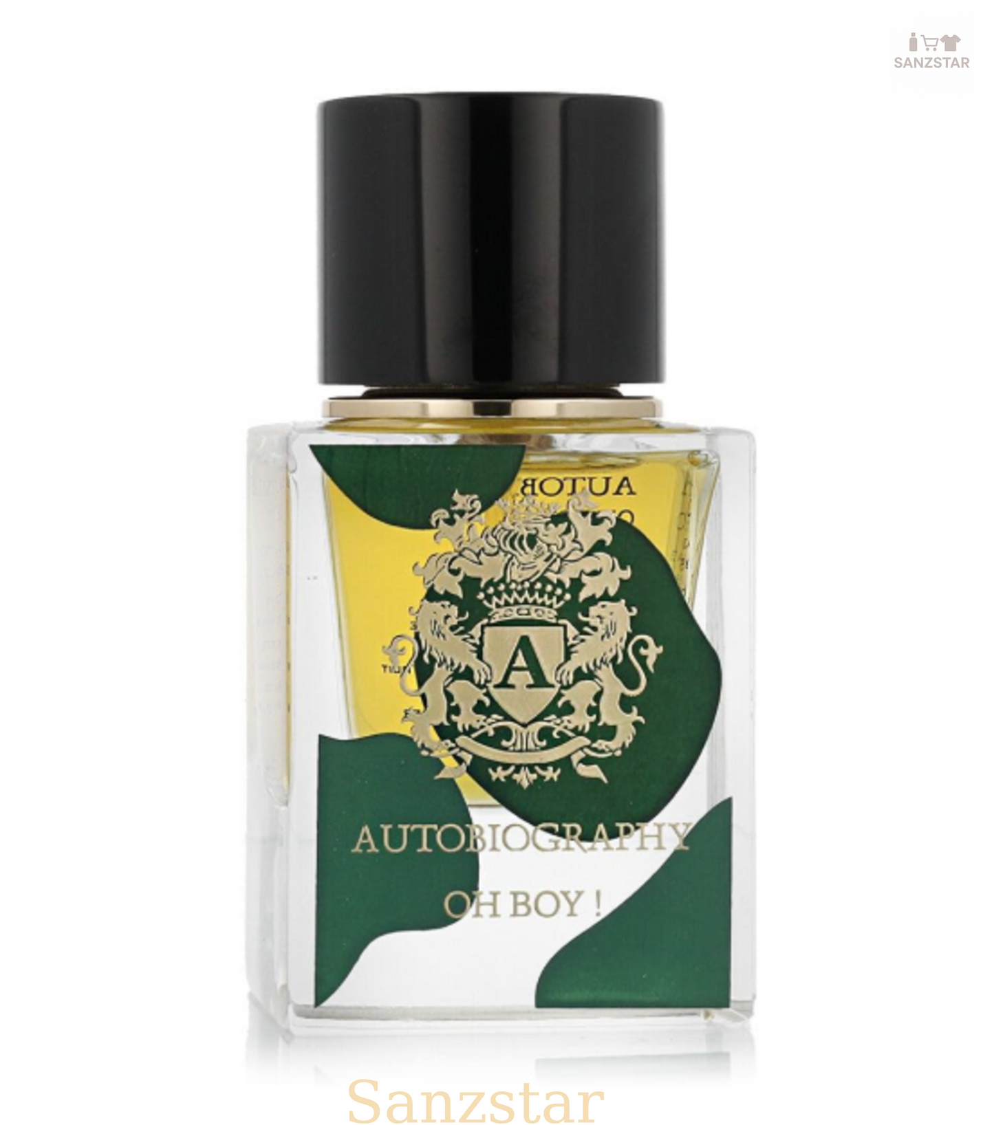 Autobiography Oh Boy